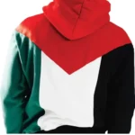unisex Palestine Hoodie