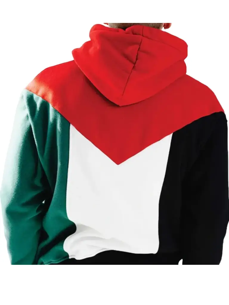 unisex Palestine Hoodie