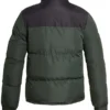 Men-Blue-and-Green-Nuptse-Puffer-Jacket-Back